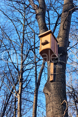 Bird house on the trunk