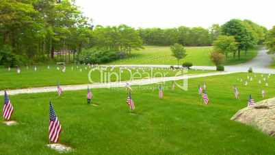 Memorial Flags at National Cemetery; Pan right