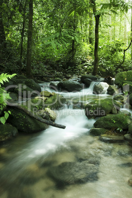 Moutain stream