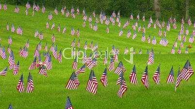 Memorial Flags at National Cemetery; Zoom to Wide 3