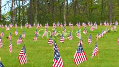 Memorial Flags & Flowers at National Cemetery; Zoom to Wide