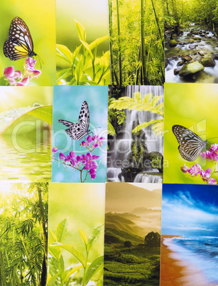 Nature postcard