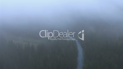 moving fog above night forest with river timelapse