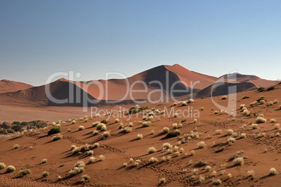 Namib Wueste, Namibia