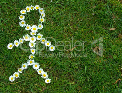 a stickman made of white blossom on green grass