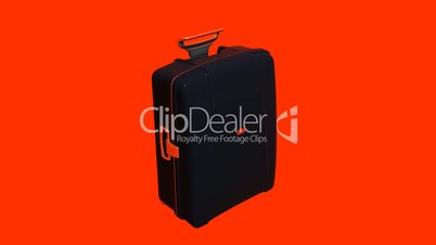 Model with handle of travel suitcase.