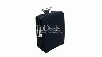 Model with handle of travel suitcase.