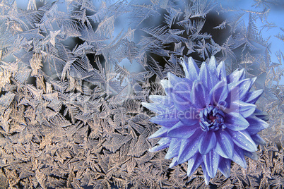 flower for ice on window