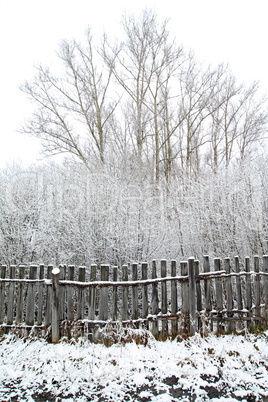 old gray fence in snow