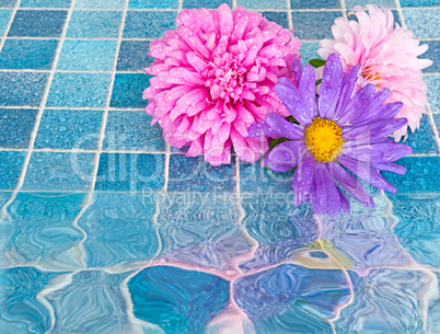 Flowers in Bathroom