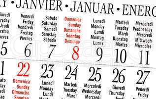Calendar of January 2012