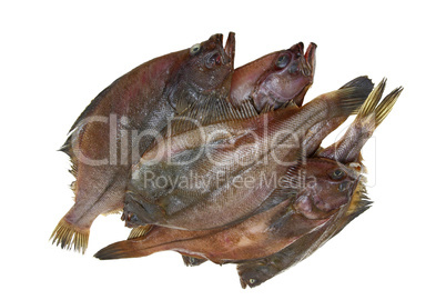 Four fresh flounder fishes