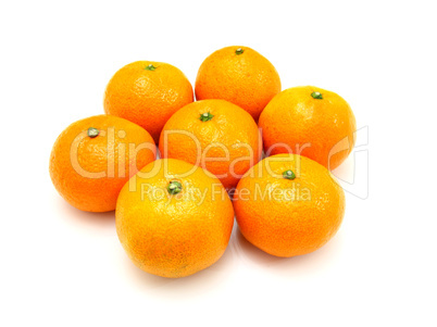 Group a tangerine