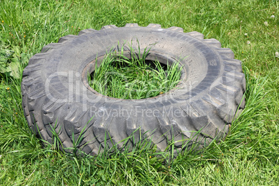 old automobile wheels on a green grass