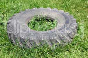 old automobile wheels on a green grass