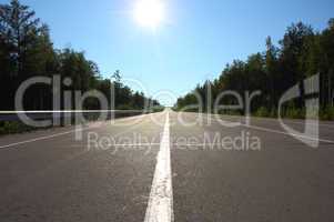 road in forest