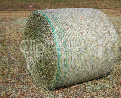 harvested field with hay in summer