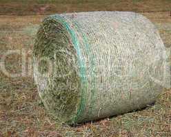 harvested field with hay in summer