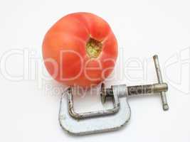 Tomato and clamp
