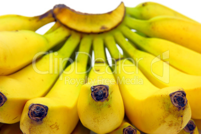 Bunch of bananas isolated on white background