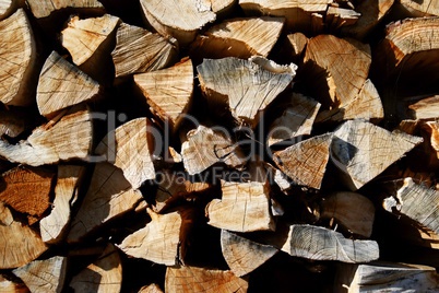 Holz