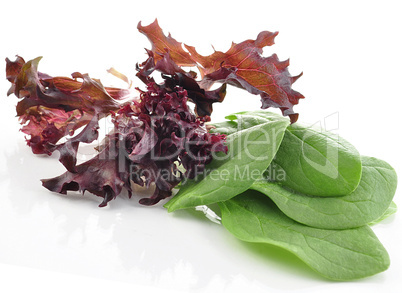 salad leaves