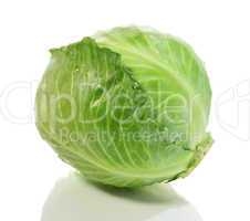 cabbage