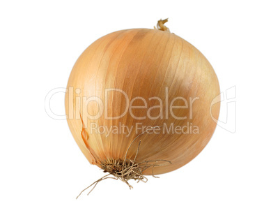 onion