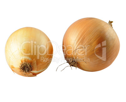 onion