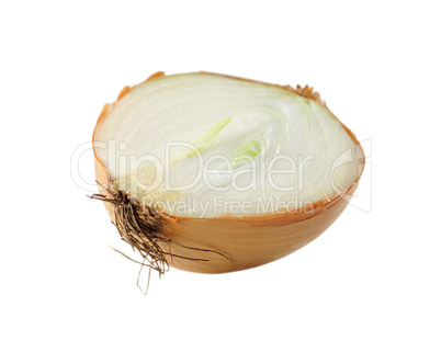 onion