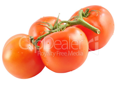 tomatoes