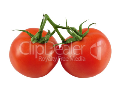 tomatoes