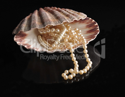 pearl into a shellfish