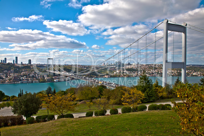 Bosphorus with Bridge