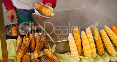 roasting corn