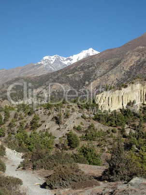 Trekking in the Annapurna Conservaton Area
