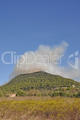 Waldbrand auf Mallorca