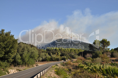 Waldbrand auf Mallorca