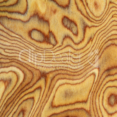 Wooden texture