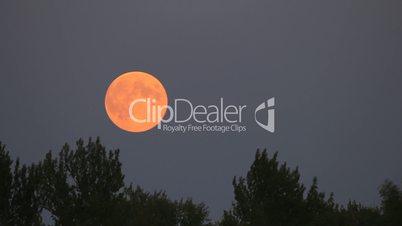 Full moon rise on dark twilight sky time-lapse