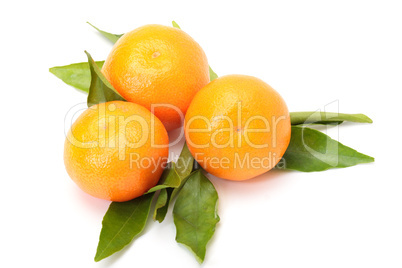 Tangerines with leaves