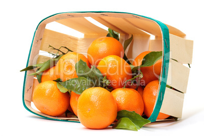 fresh tangerines in a basket