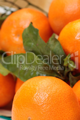 Tangerines with leaves