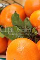 Tangerines with leaves