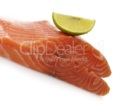 Raw Salmon Fillet