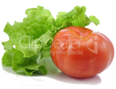 tomato and lettuce