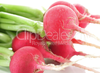 radish