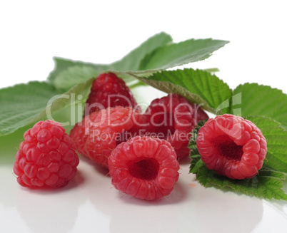 fresh raspberries