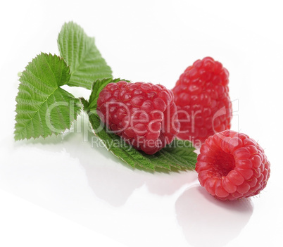 fresh raspberries