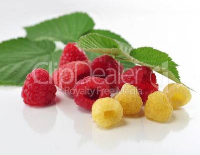 fresh raspberries